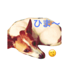 ジェニーちゃんスタンプ（個別スタンプ：1）