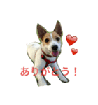 ジェニーちゃんスタンプ（個別スタンプ：4）