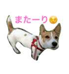 ジェニーちゃんスタンプ（個別スタンプ：8）