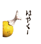 ねんどうぶつ（個別スタンプ：5）