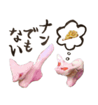 ねんどうぶつ（個別スタンプ：26）