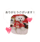 ふるるスタンプ（個別スタンプ：5）
