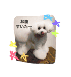 ふるるスタンプ（個別スタンプ：13）