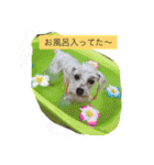 ふるるスタンプ（個別スタンプ：22）
