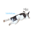 愛しのフレンチーズ（個別スタンプ：3）
