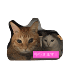 ももちゃんず（個別スタンプ：3）