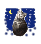 銀＆コウ3（個別スタンプ：2）