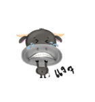 baby buffalo（個別スタンプ：6）