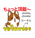 食いしん坊な犬日本語タイ語（個別スタンプ：11）