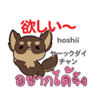 食いしん坊な犬日本語タイ語（個別スタンプ：12）