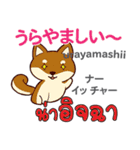 食いしん坊な犬日本語タイ語（個別スタンプ：14）