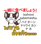 食いしん坊な犬日本語タイ語（個別スタンプ：25）