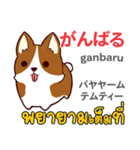 犬の気持ち日本語タイ語（個別スタンプ：2）