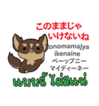 犬の気持ち日本語タイ語（個別スタンプ：11）