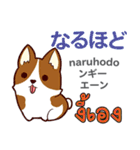 犬の気持ち日本語タイ語（個別スタンプ：17）