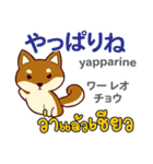 犬の気持ち日本語タイ語（個別スタンプ：20）