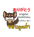 犬の気持ち日本語タイ語（個別スタンプ：31）