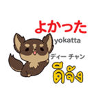 犬の気持ち日本語タイ語（個別スタンプ：36）