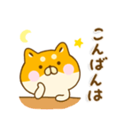 ゆる柴犬 ☆毎日使える敬語☆（個別スタンプ：7）