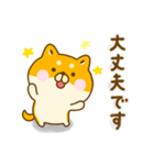 ゆる柴犬 ☆毎日使える敬語☆（個別スタンプ：20）