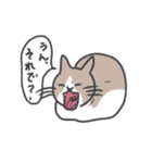 のんきな猫たち（個別スタンプ：30）