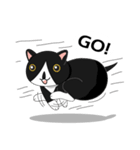 Obba Cat（個別スタンプ：1）