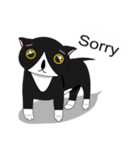 Obba Cat（個別スタンプ：3）