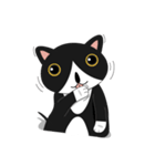 Obba Cat（個別スタンプ：4）