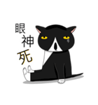 Obba Cat（個別スタンプ：5）