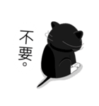 Obba Cat（個別スタンプ：6）