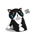 Obba Cat（個別スタンプ：8）