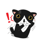 Obba Cat（個別スタンプ：11）