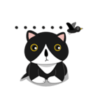 Obba Cat（個別スタンプ：12）