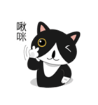 Obba Cat（個別スタンプ：13）