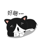 Obba Cat（個別スタンプ：14）