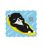 Obba Cat（個別スタンプ：15）