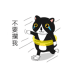 Obba Cat（個別スタンプ：19）
