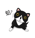 Obba Cat（個別スタンプ：20）
