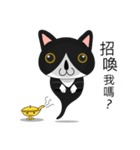 Obba Cat（個別スタンプ：22）