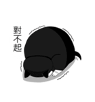 Obba Cat（個別スタンプ：24）