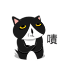 Obba Cat（個別スタンプ：25）