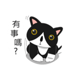 Obba Cat（個別スタンプ：32）