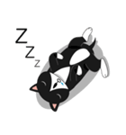 Obba Cat（個別スタンプ：33）