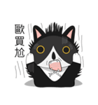 Obba Cat（個別スタンプ：34）