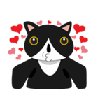 Obba Cat（個別スタンプ：35）