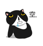 Obba Cat（個別スタンプ：37）
