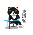 Obba Cat（個別スタンプ：38）
