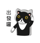 Obba Cat（個別スタンプ：39）