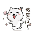 Japanese Spitz Michael-Life conversation（個別スタンプ：4）