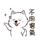 Japanese Spitz Michael-Life conversation（個別スタンプ：7）